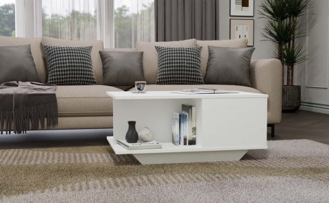 Stolik Kawowy Nowoczesna Ława Ze Schowkiem Do Salonu Sypialni Biała