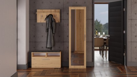 Szafa Jednodrzwiowa Z Lustrem Garderoba Sypialnia Wieszak 180x50 cm Artisan