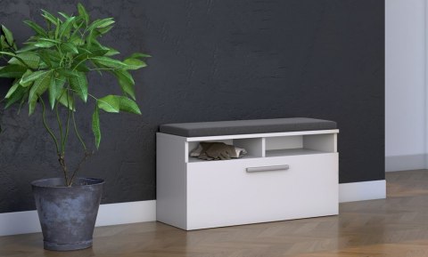 SZAFKA NA BUTY SIEDZISKO SCHOWEK RIVA BIEL MAT